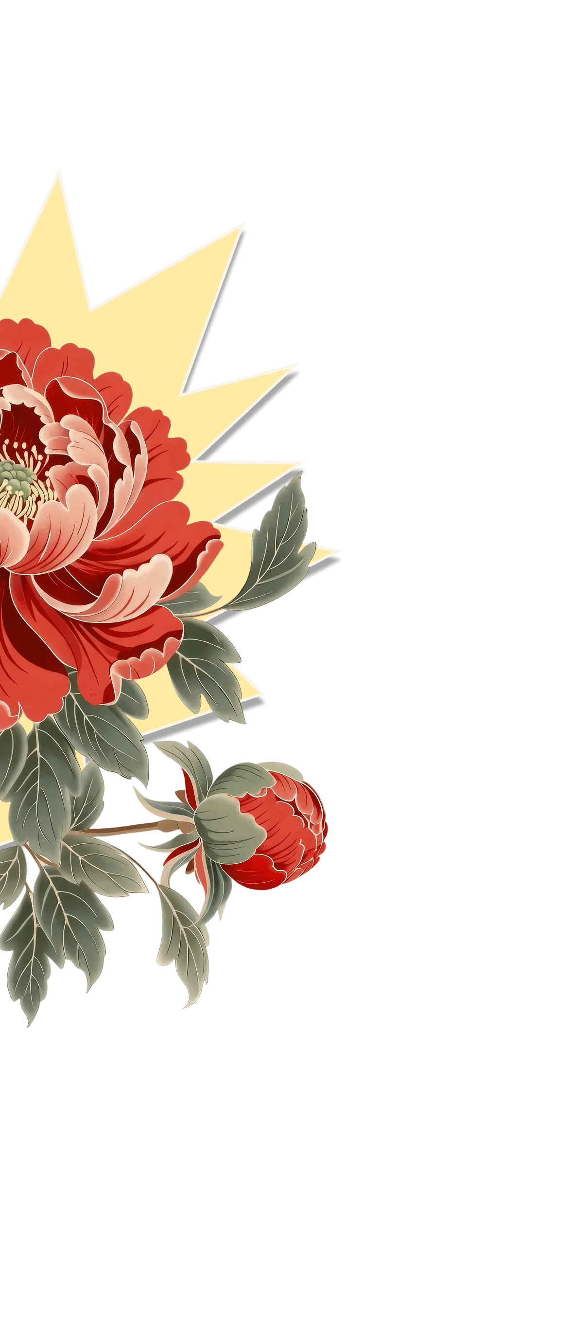 ULTIMA: ЛУЧШЕЕ КИТАЙСКОЕ